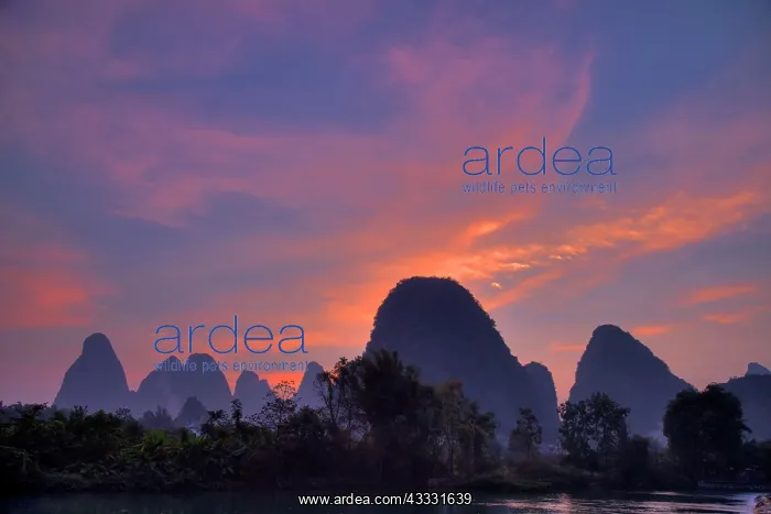 : 80185307 Limestone Karst Formations at Dawn Guilin : 80185307 Limestone Karst Formations at Dawn Guilin