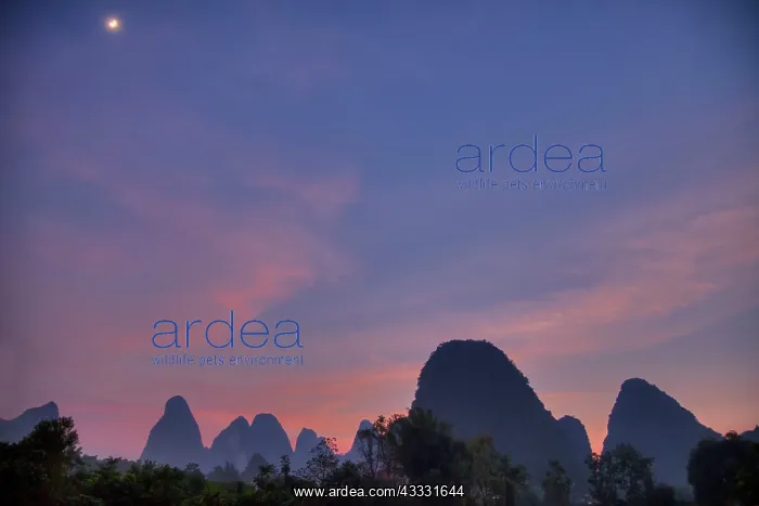 : 80185308 Limestone Karst Formations at dawn with : 80185308 Limestone Karst Formations at dawn with