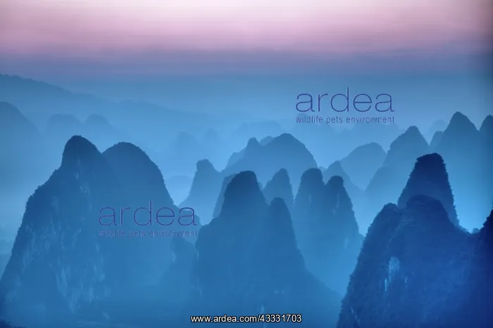 : 80185316 Limestone Karst Formations at dawn Guilin : 80185316 Limestone Karst Formations at dawn Guilin