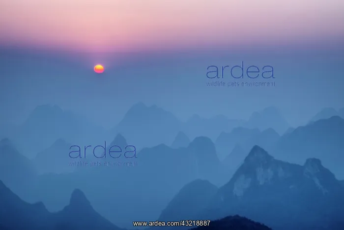 : 80185324 Limestone Karst Formations at Dawn Guilin : 80185324 Limestone Karst Formations at Dawn Guilin