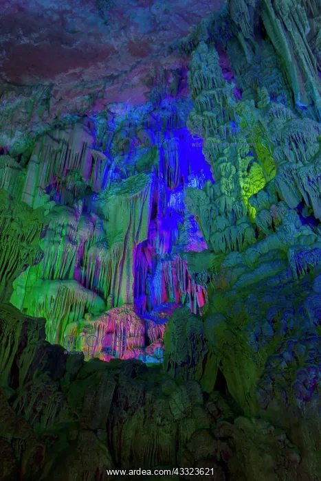 : 80185328 Reed Flute Caves - lit by coloured lights : 80185328 Reed Flute Caves - lit by coloured lights