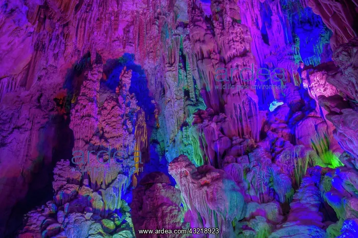: 80185330 Reed Flute Caves - lit by coloured lights : 80185330 Reed Flute Caves - lit by coloured lights