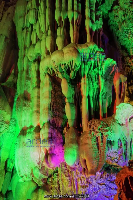 : 80185332 Reed Flute Caves - lit by coloured lights : 80185332 Reed Flute Caves - lit by coloured lights