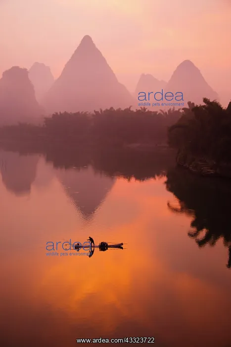: 80185342 Fisherman on River Li at Dawn Guilin Region : 80185342 Fisherman on River Li at Dawn Guilin Region