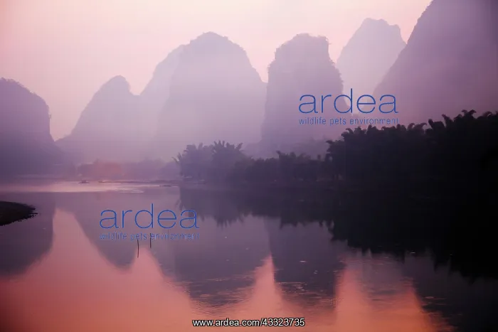 : 80185344 Limestone Karst Formations on River Li : 80185344 Limestone Karst Formations on River Li