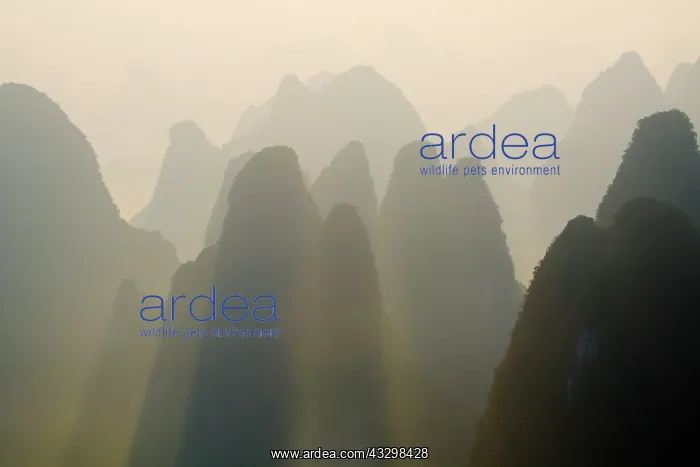 : 80185351 Limestone Karst Formations at Dawn Guilin : 80185351 Limestone Karst Formations at Dawn Guilin