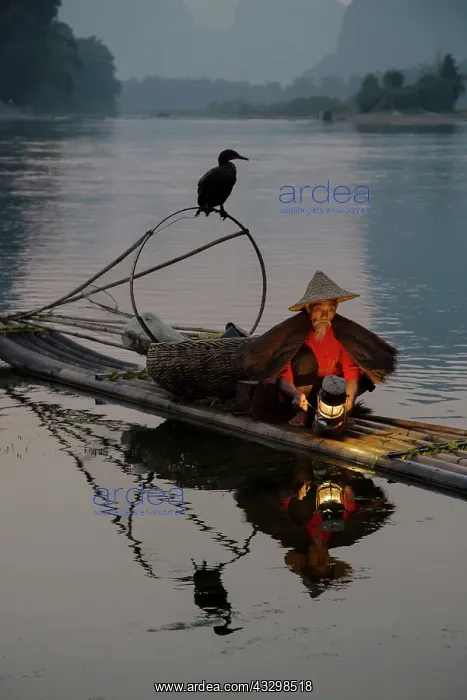 : 80185360 Cormorant Fisherman Lighting Lamp for Night : 80185360 Cormorant Fisherman Lighting Lamp for Night
