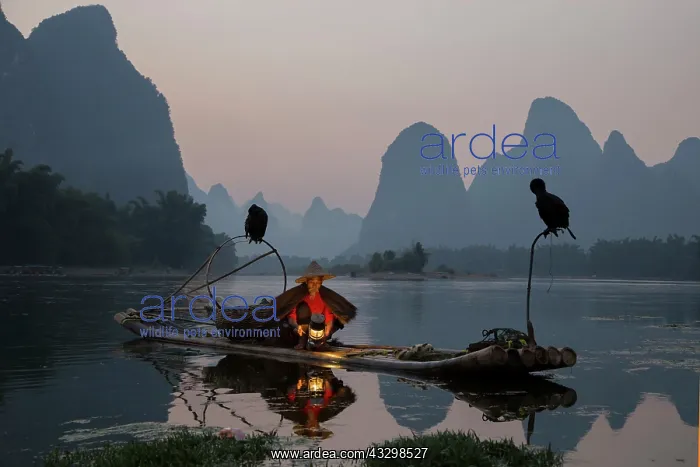 : 80185361 Cormorant Fisherman Lighting Lamp for Night : 80185361 Cormorant Fisherman Lighting Lamp for Night
