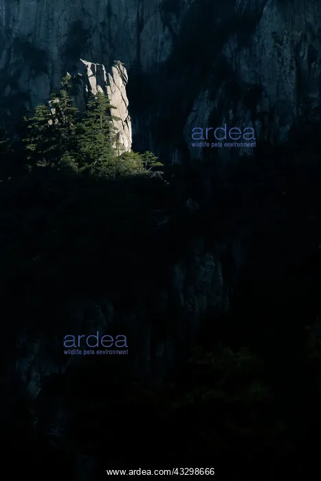 : 80185375 Sunlight Catching Rocky Outcrop Backlit : 80185375 Sunlight Catching Rocky Outcrop Backlit