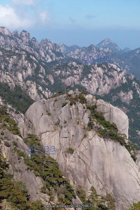 : 80185376 Yellow Mountains (Huangshan) Anhui Province : 80185376 Yellow Mountains (Huangshan) Anhui Province