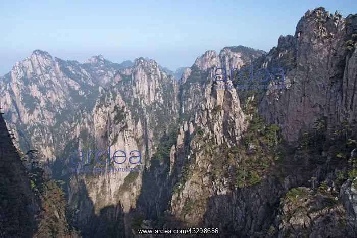 : 80185377 Yellow Mountains (Huangshan) Anhui Province : 80185377 Yellow Mountains (Huangshan) Anhui Province