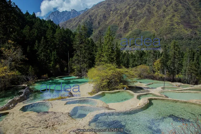 : 80185380 Hot Springs at Hunglong Scenic Area Sichuan : 80185380 Hot Springs at Hunglong Scenic Area Sichuan