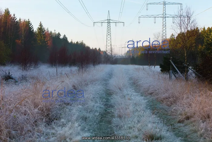 : 80185949 Hoar Frost - on grass - amongst electric : 80185949 Hoar Frost - on grass - amongst electric