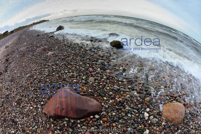 : 80185957 Granite Boulders and pebbled beach - fisheye : 80185957 Granite Boulders and pebbled beach - fisheye