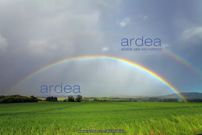 : 80186089 Double Rainbow - over arable land Lower : 80186089 Double Rainbow - over arable land Lower