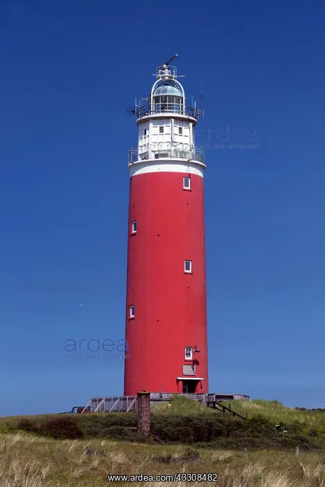  : 80186140 Lighthouse - on the north point of the
