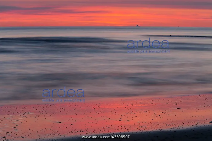 : 80186142 Dusk over the North Sea - atmospheric abstract : 80186142 Dusk over the North Sea - atmospheric abstract