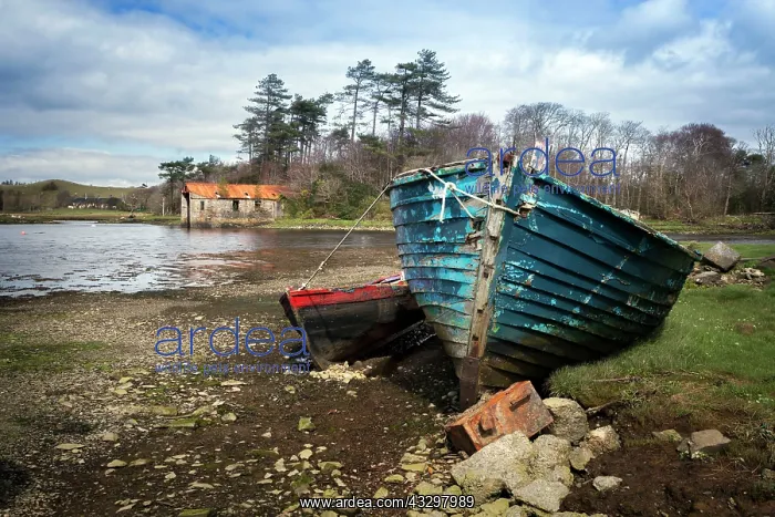 : 80186190 Old fishing boat moored in the harbour : 80186190 Old fishing boat moored in the harbour