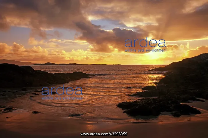 : 80186196 Silver Strand beach sunset - April Barna : 80186196 Silver Strand beach sunset - April Barna