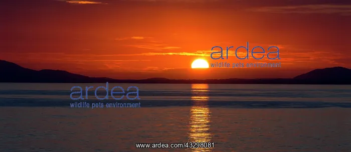 : 80186198 Sunset from Shell Island Llanbedr - North : 80186198 Sunset from Shell Island Llanbedr - North