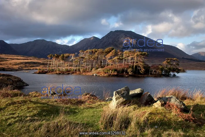 : 80186202 Derryclare Lough under moody skys - April : 80186202 Derryclare Lough under moody skys - April