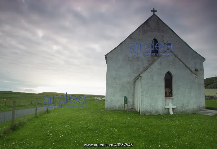 : 80186698 St. Brendan's R.C. Church - on a Summer's : 80186698 St. Brendan's R.C. Church - on a Summer's