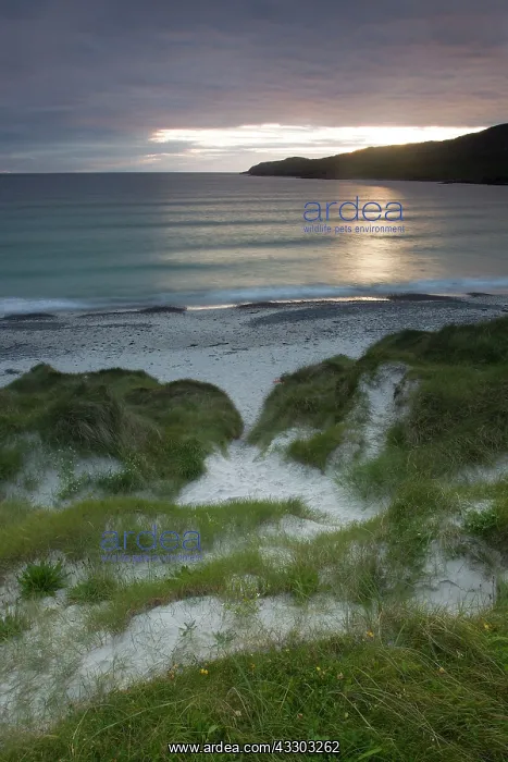 : 80186699 Sunset - from Bagh Siar beach - looking : 80186699 Sunset - from Bagh Siar beach - looking