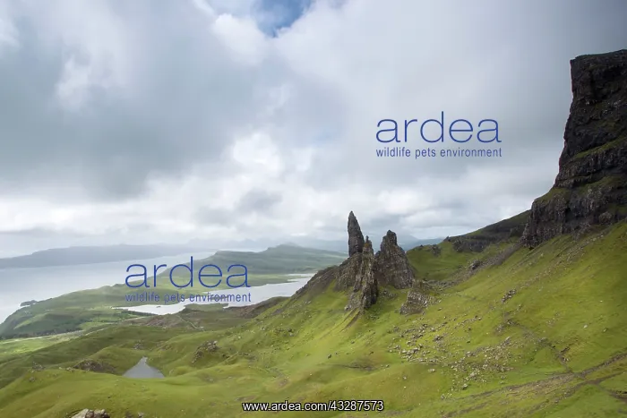 : 80186702 The Old Man Of Storr - Trotternish peninsula : 80186702 The Old Man Of Storr - Trotternish peninsula