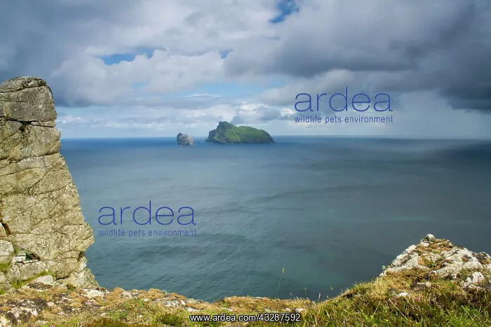 : 80186704 View of Boreray, Stac Lee and Stac an Armin : 80186704 View of Boreray, Stac Lee and Stac an Armin
