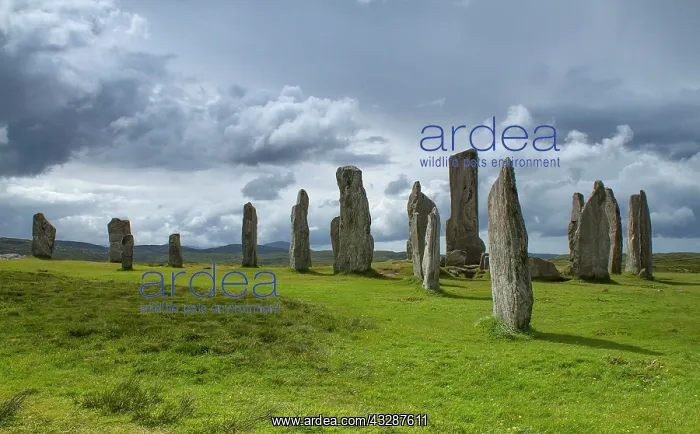: 80186706 Callanish Stones - from the Neolithic era : 80186706 Callanish Stones - from the Neolithic era