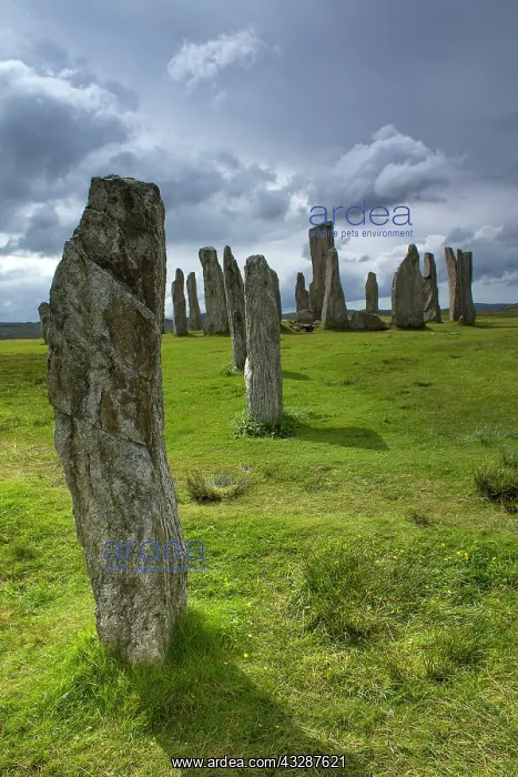 : 80186707 Callanish Stones - from the Neolithic era : 80186707 Callanish Stones - from the Neolithic era