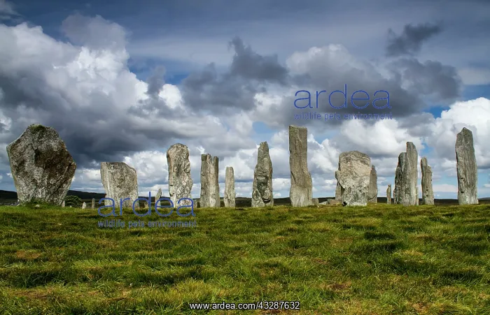 : 80186708 Callanish Stones - from the Neolithic era : 80186708 Callanish Stones - from the Neolithic era