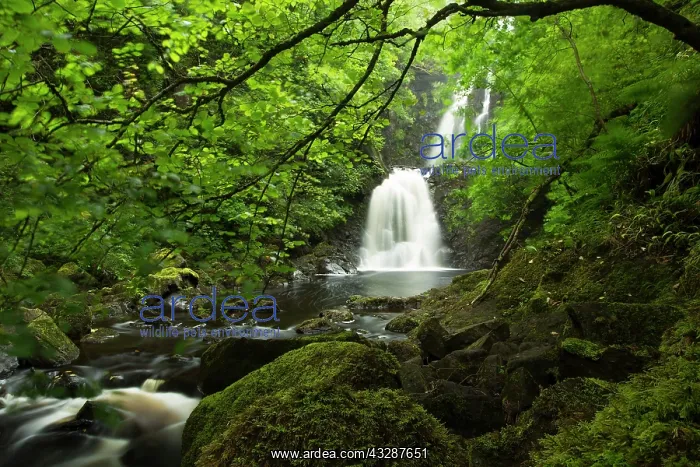 : 80186710 Rha waterfall - River Rha Uig, Isle of : 80186710 Rha waterfall - River Rha Uig, Isle of