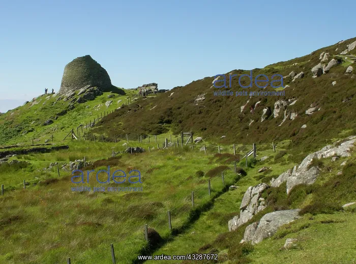 : 80186712 Dun Carloway Broch - iron age dwelling : 80186712 Dun Carloway Broch - iron age dwelling