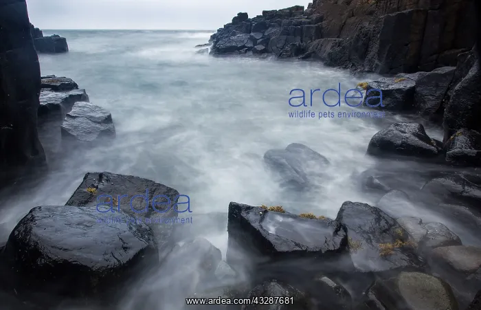 : 80186713 Ebb and flow of the tide over rocks Kilmuir : 80186713 Ebb and flow of the tide over rocks Kilmuir