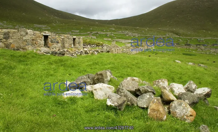 : 80186719 The Village - stone houses - along Main : 80186719 The Village - stone houses - along Main