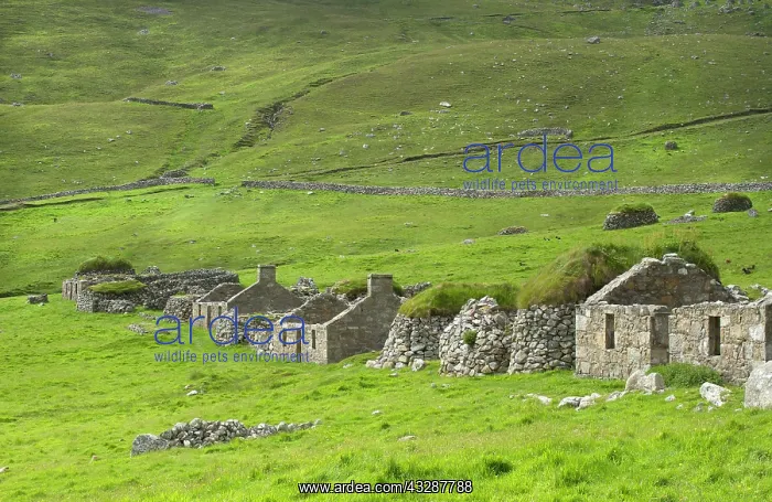 : 80186725 Stone houses and black houses - along the : 80186725 Stone houses and black houses - along the