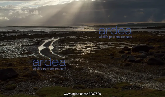 : 80186726 Sunburst - over the coastline North Uist : 80186726 Sunburst - over the coastline North Uist