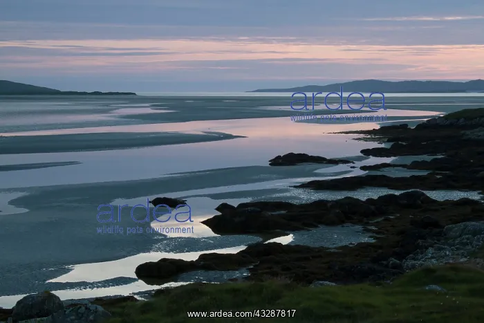 : 80186728 Twilight - view from Luskentyre west coast : 80186728 Twilight - view from Luskentyre west coast