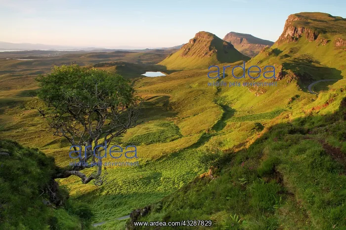 : 80186729 View from the Quiraing - at the Trotternish : 80186729 View from the Quiraing - at the Trotternish