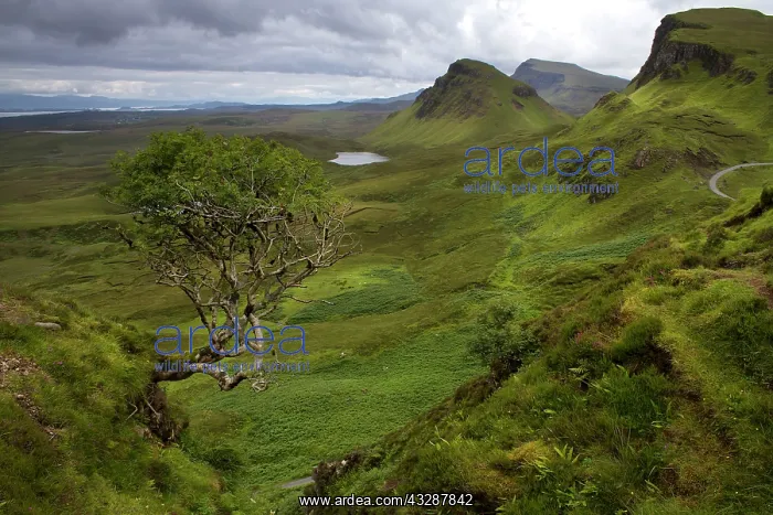 : 80186730 View from the Quiraing - at the Trotternish : 80186730 View from the Quiraing - at the Trotternish