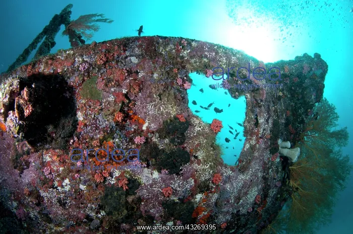 : 80186748 Cross wreck - hole in ship with sun in : 80186748 Cross wreck - hole in ship with sun in
