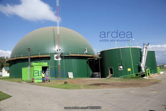 : 80186908 2.4 MW Biogas Biojoule plant - Gorge Farm : 80186908 2.4 MW Biogas Biojoule plant - Gorge Farm