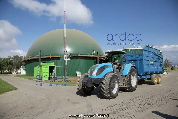 : 80186909 2.4 MW Biogas Biojoule plant - Gorge Farm : 80186909 2.4 MW Biogas Biojoule plant - Gorge Farm