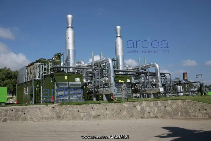 : 80186910 2.4 MW Biogas Biojoule plant - Gorge Farm : 80186910 2.4 MW Biogas Biojoule plant - Gorge Farm
