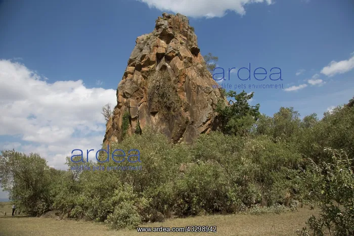 : 80186912 The volcanic column named Fischer's Rock : 80186912 The volcanic column named Fischer's Rock