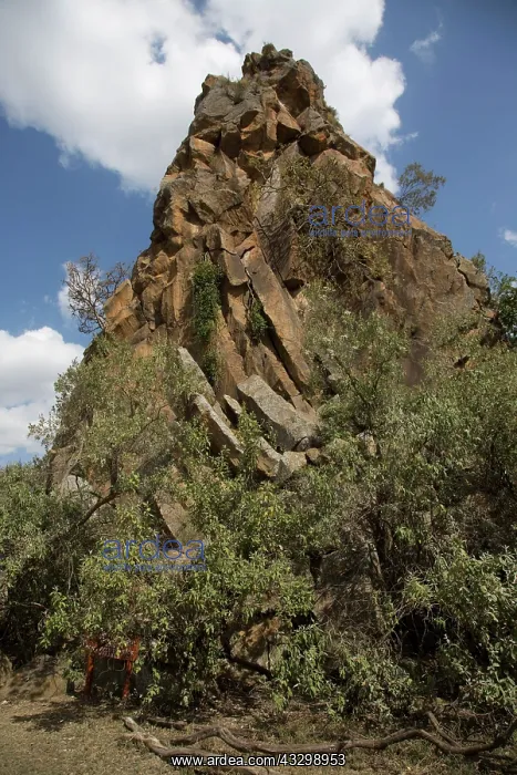 : 80186913 The volcanic column named Fischer's Rock : 80186913 The volcanic column named Fischer's Rock