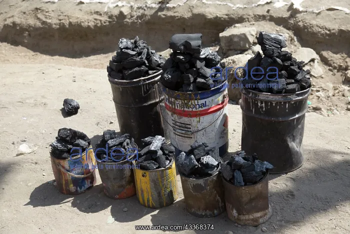 : 80186924 Tins of charcoal for sale on roadside Lake : 80186924 Tins of charcoal for sale on roadside Lake