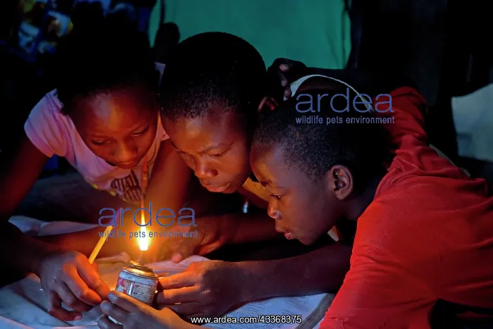 : 80186925 African children trying to read book with : 80186925 African children trying to read book with