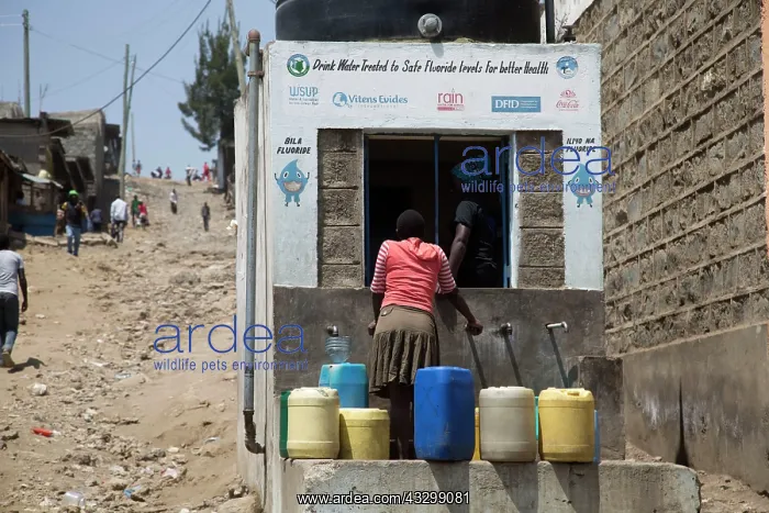 : 80186930 Villagers with containers collecting safe : 80186930 Villagers with containers collecting safe